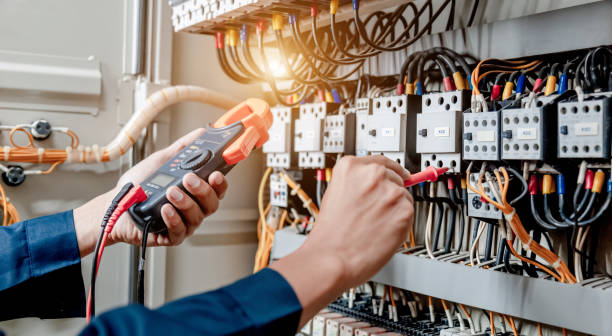 Best Electric Panel Repair  in Wilton, IA